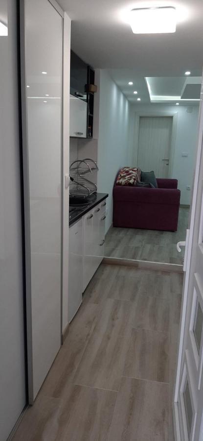 Adrijana 2 Apartmani Vrnjačka Banja Eksteriør billede